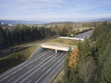 Wildtierüberführung Neuenkirch Holztragwerk Schweizer Holz