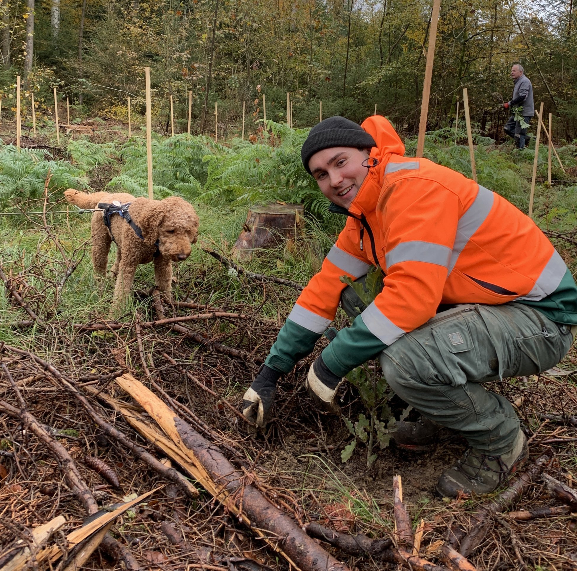 Baumspende_Jubilaeum_HUSNER_Forst_Aarau