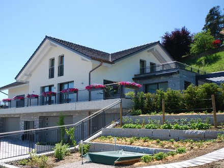 Zimmerei Dachstock Photovoltaik-Dachziegel Veltheim Neubau EFH