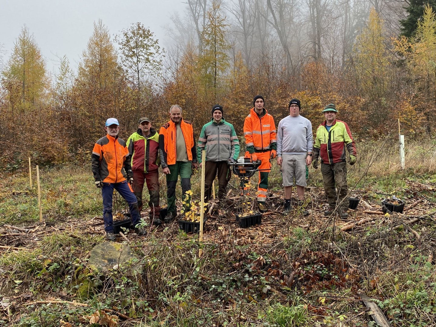 Baumspende Jubilaeum HUSNER Forst Villigen Baumspende Jubilaeum HUSNER Forst Villigen