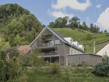 Elementbau Dachstuhl Fassadenbau Schinznach-Dorf Neubau MFH Elementbau Dachstuhl Fassadenbau Schinznach-Dorf Neubau MFH