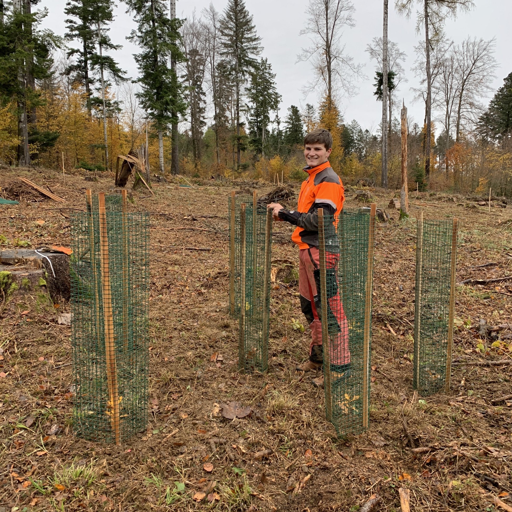 Baumspende_Jubilaeum_HUSNER_Forst_Thiersteinberg Baumspende_Jubilaeum_HUSNER_Forst_Thiersteinberg