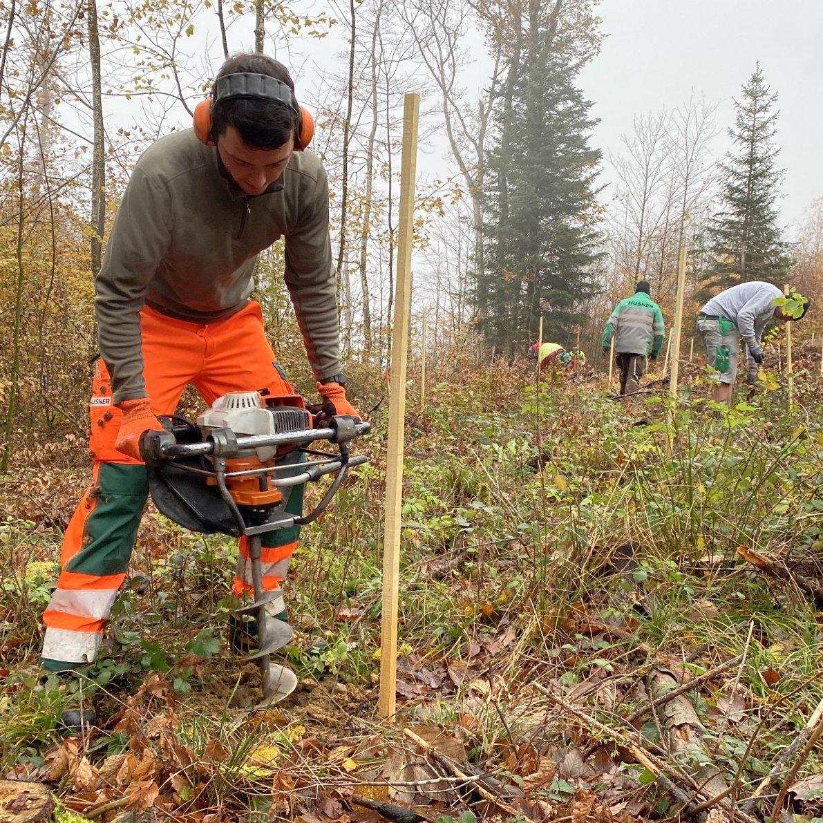 Baumspende Jubilaeum HUSNER Forst Villigen Baumspende Jubilaeum HUSNER Forst Villigen