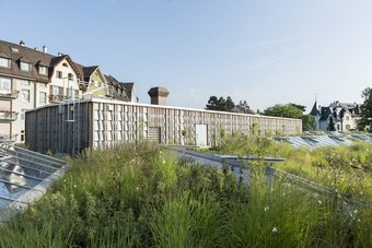 Elefantenhaus, Heulager, Holzkonstruktion, Material, Tierhäuser Stall, ZOO BASEL, Zoo Basel Gebäude