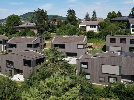 Gesamtleistung Gipf-Oberfrick Neubau Arealüberbauung Leben im Park Holzelementbau Fassadenbau