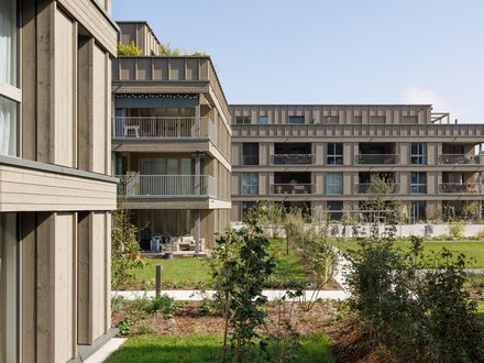 Fassadenbau Suhr Neubau Mehrfamilienhaus Sagiweg Holzfassade