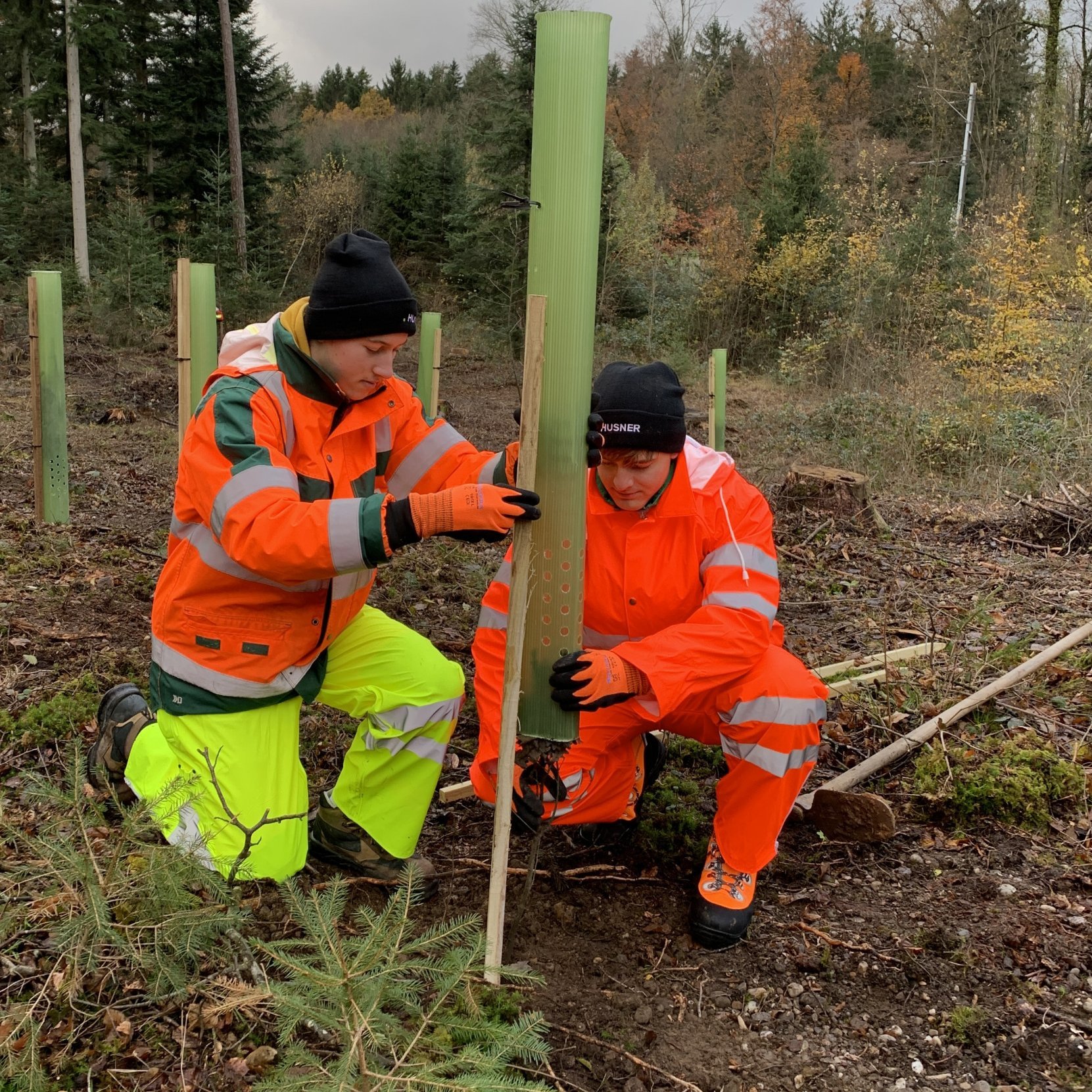 Baumspende_Jubilaeum_HUSNER_Staatswald_Kaisten Baumspende_Jubilaeum_HUSNER_Staatswald_Kaisten