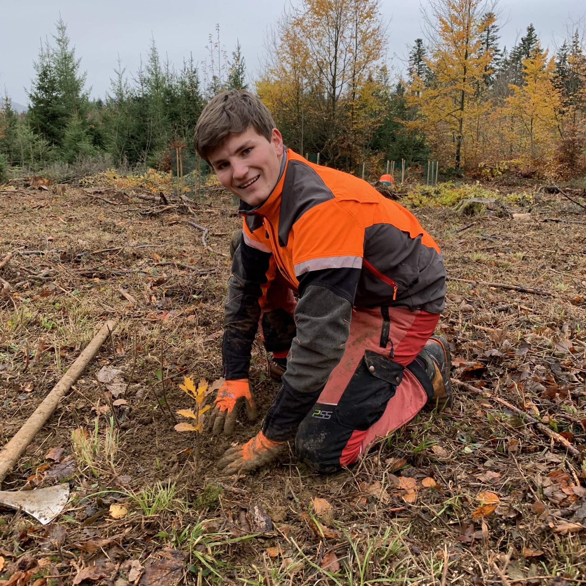 Baumspende_Jubilaeum_HUSNER_Forst_Thiersteinberg Baumspende_Jubilaeum_HUSNER_Forst_Thiersteinberg
