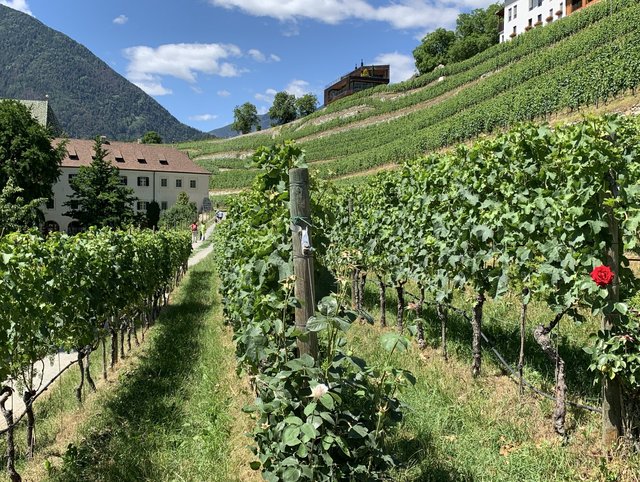 Jubiläumsreise HUSNER Südtirol