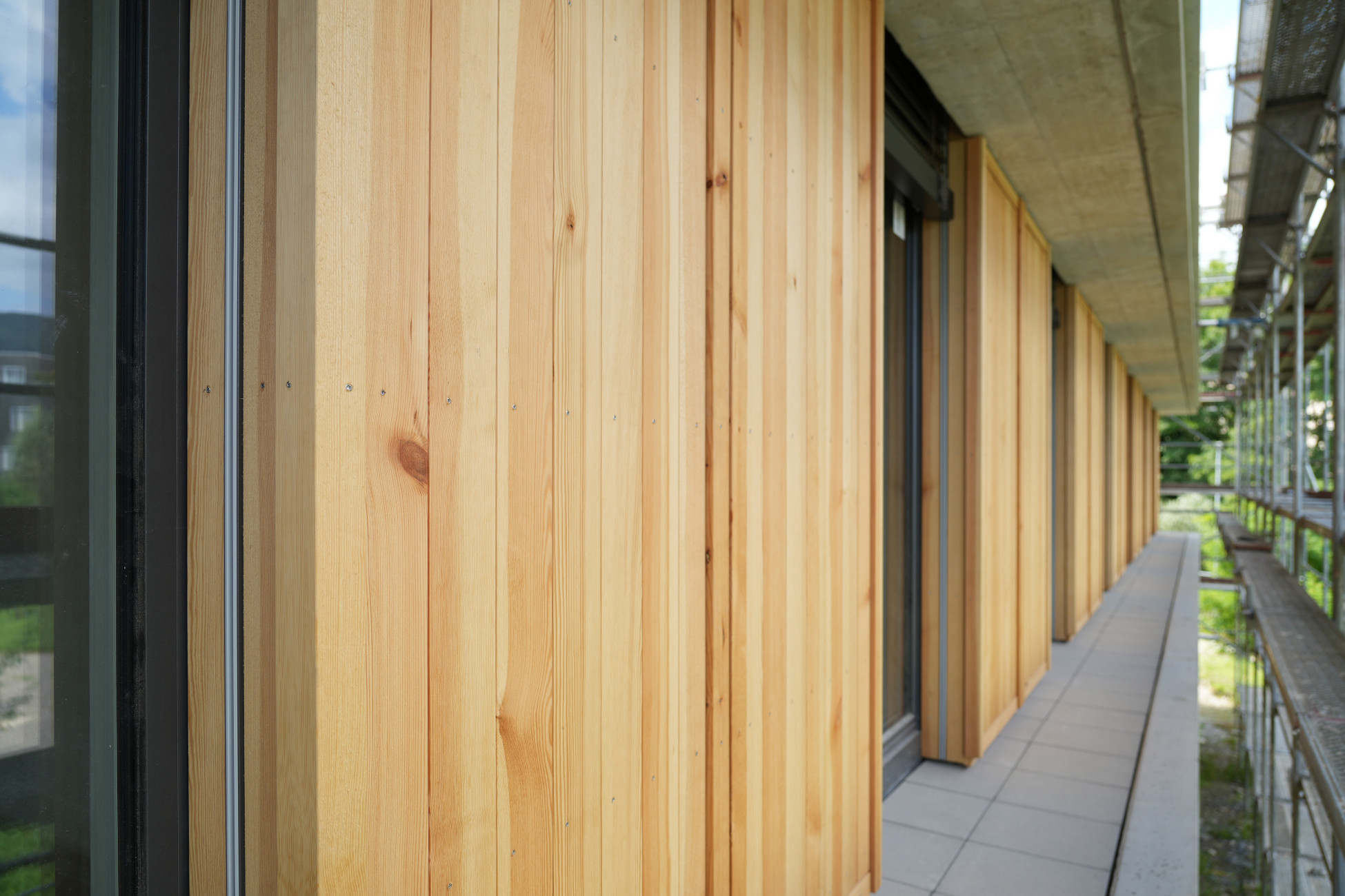 Aarau Fassadenbau Neubau MFH Scheibenachen Holzfassade