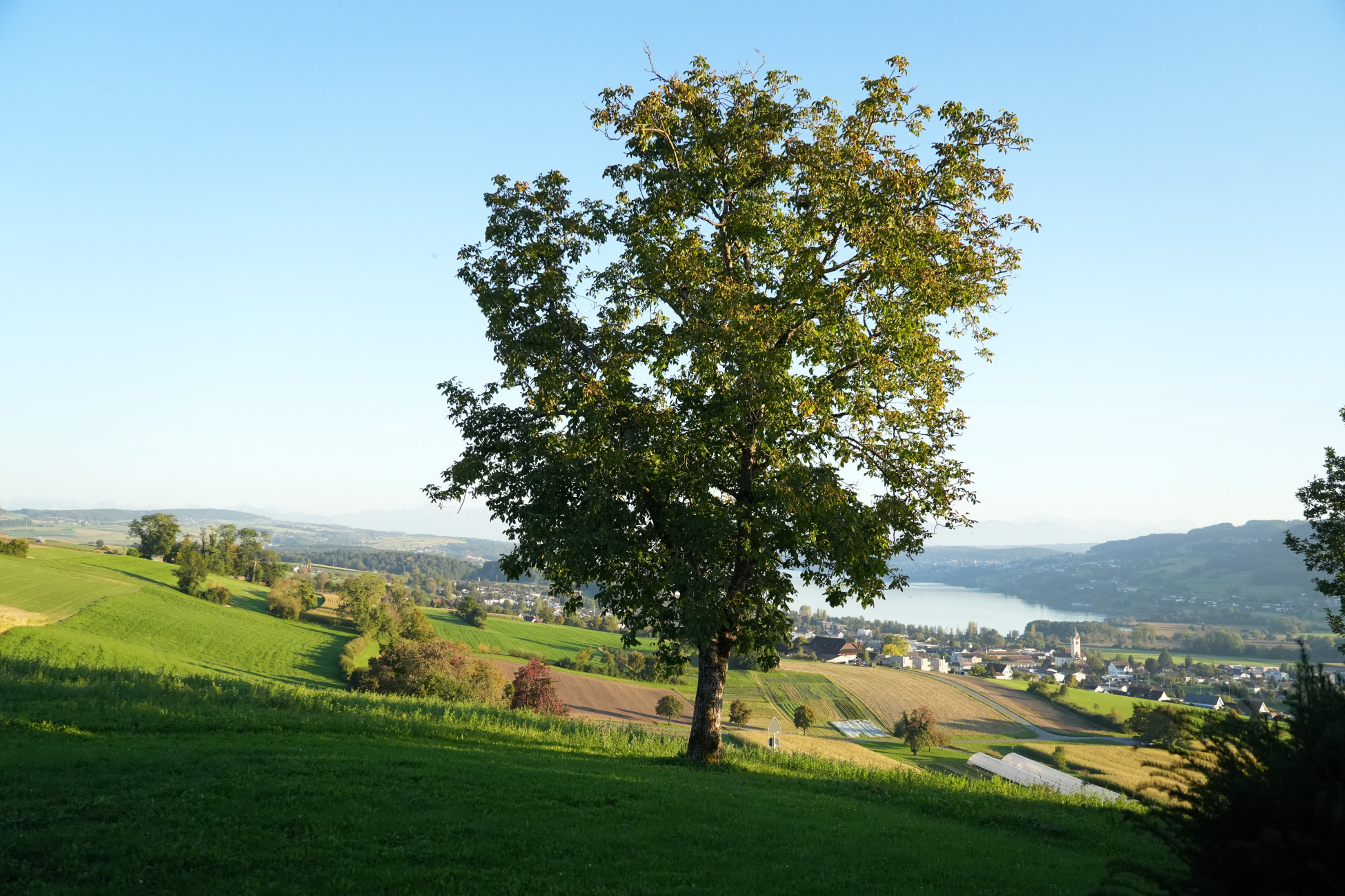 Teamevent Töfflitour HUSNER