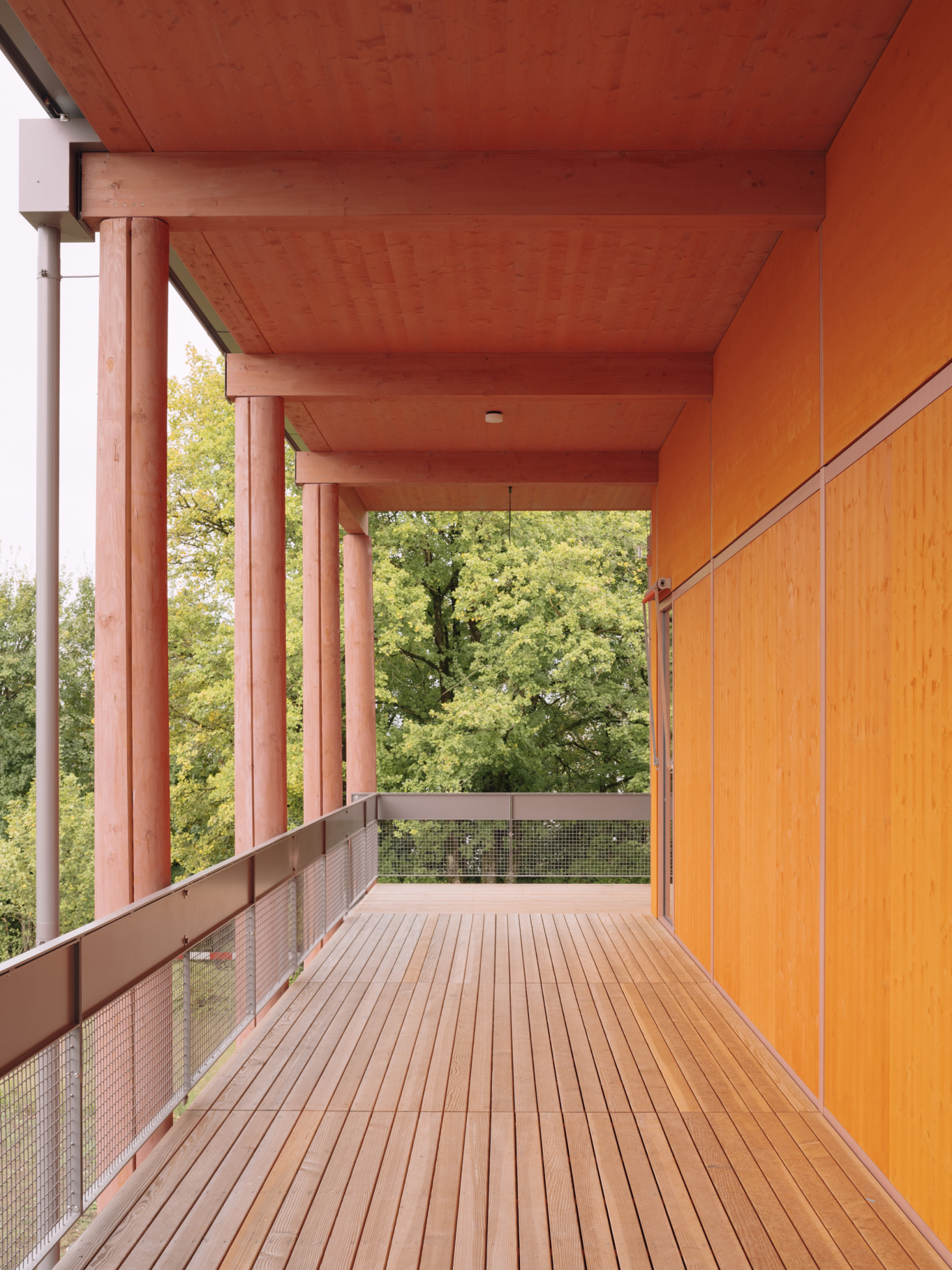 Ingenieurholzbau Unterentfelden Neubau Laborgebäude AVS Terrassenboden Rundholzstützen