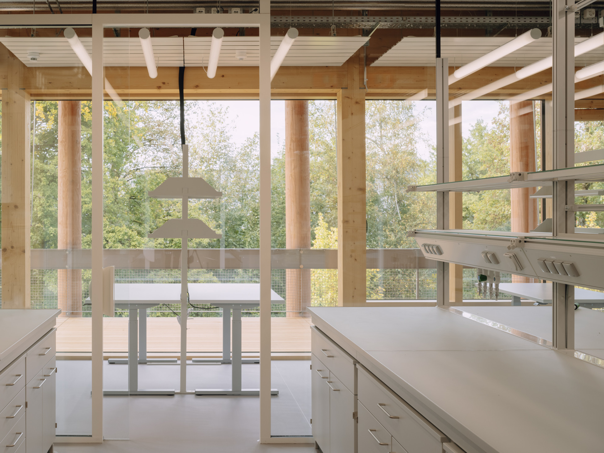 Ingenieurholzbau Unterentfelden Neubau Laborgebäude AVS Holzrippendecke/Holz-Beton-Verbund